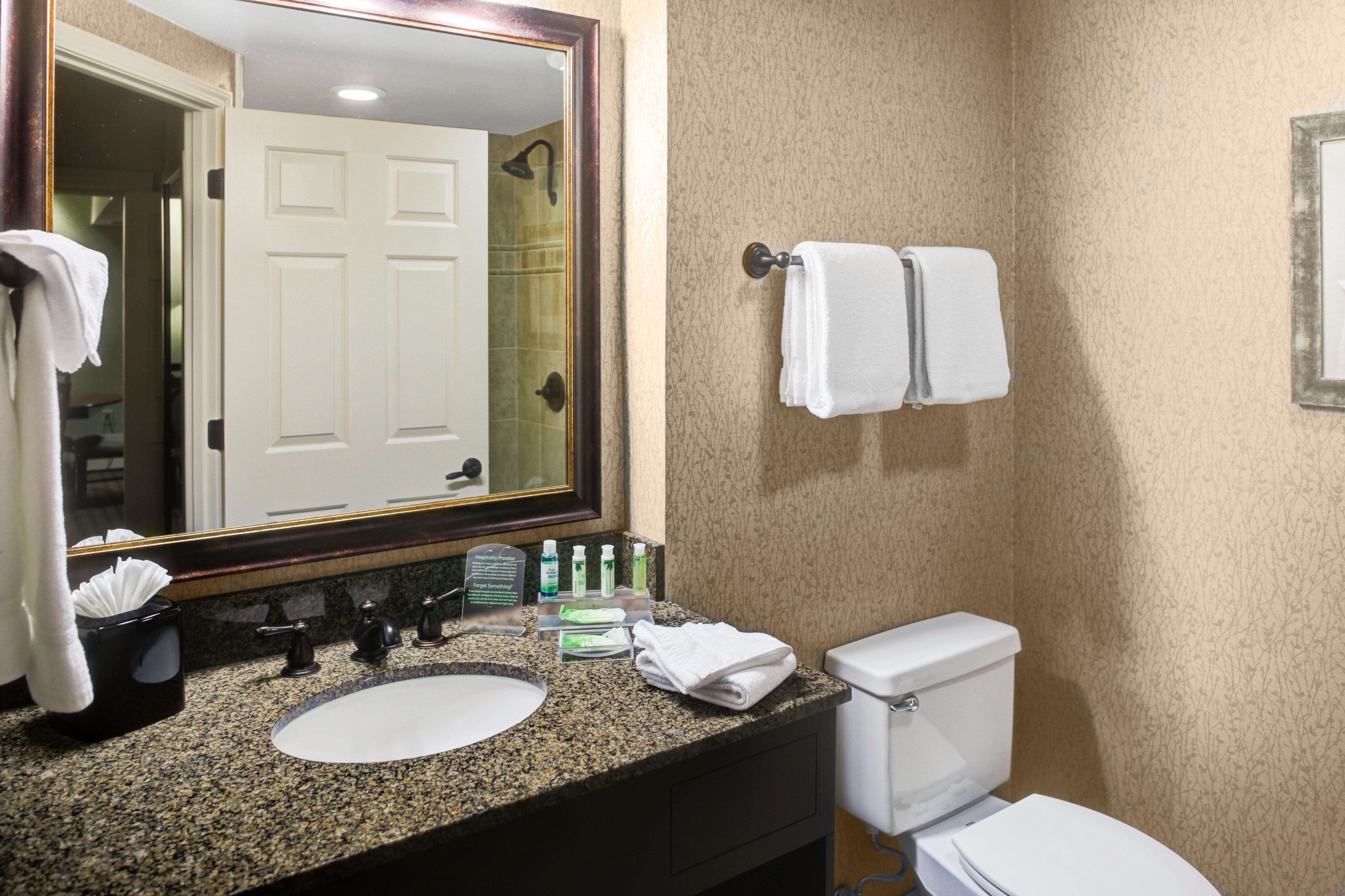 Holiday Inn Express Hotel & Suites Atlanta Buckhead By Ihg Kültér fotó